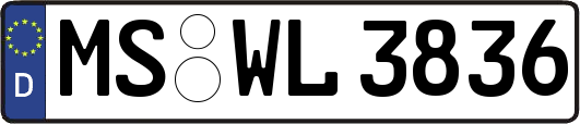 MS-WL3836