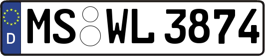 MS-WL3874