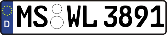 MS-WL3891