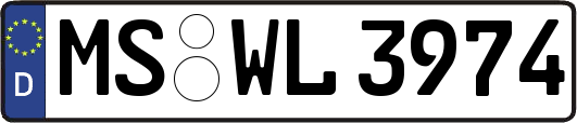 MS-WL3974