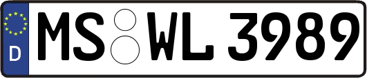 MS-WL3989