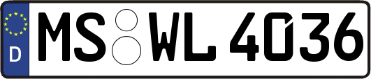 MS-WL4036