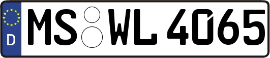MS-WL4065