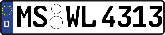 MS-WL4313