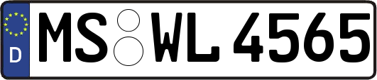 MS-WL4565