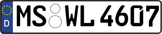 MS-WL4607