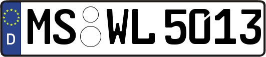 MS-WL5013