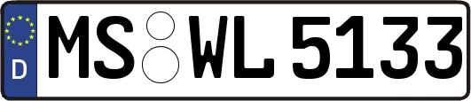 MS-WL5133