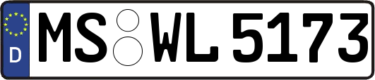 MS-WL5173