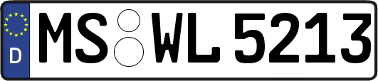 MS-WL5213