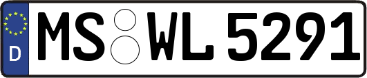 MS-WL5291