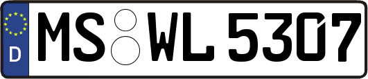 MS-WL5307