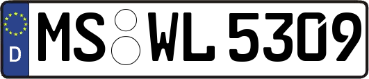 MS-WL5309
