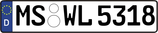 MS-WL5318
