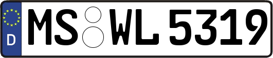 MS-WL5319