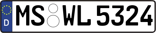 MS-WL5324