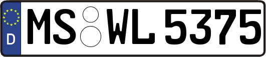 MS-WL5375