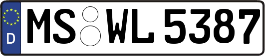 MS-WL5387