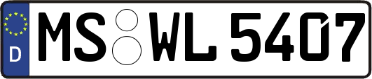 MS-WL5407