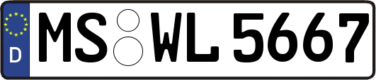 MS-WL5667