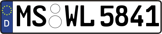 MS-WL5841