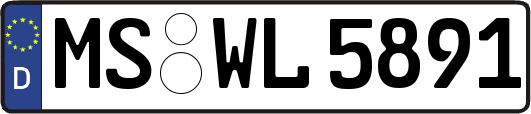 MS-WL5891