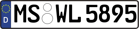 MS-WL5895