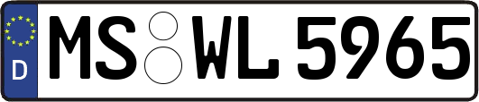 MS-WL5965
