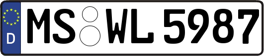 MS-WL5987