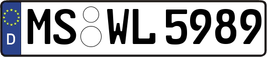 MS-WL5989