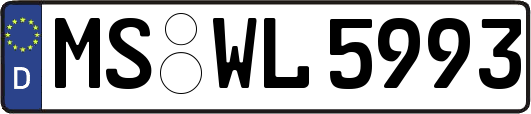 MS-WL5993