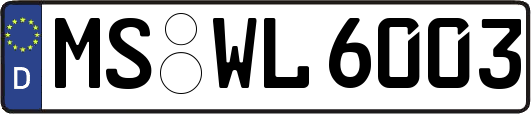MS-WL6003