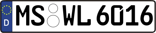 MS-WL6016