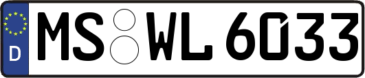 MS-WL6033