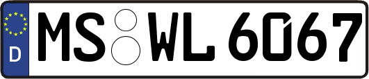 MS-WL6067