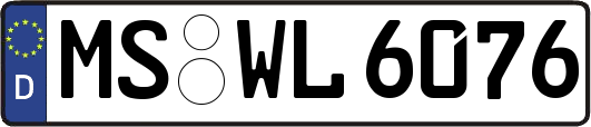 MS-WL6076