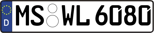 MS-WL6080