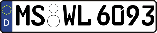 MS-WL6093