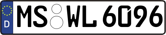 MS-WL6096
