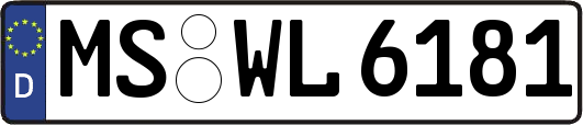 MS-WL6181