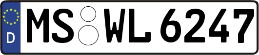 MS-WL6247