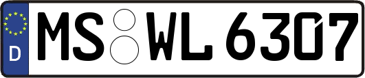 MS-WL6307