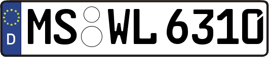 MS-WL6310