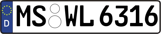 MS-WL6316