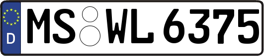MS-WL6375