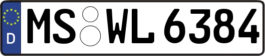 MS-WL6384