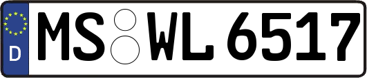 MS-WL6517
