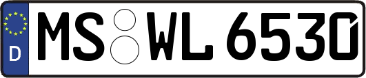 MS-WL6530