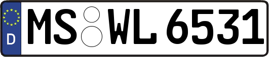 MS-WL6531