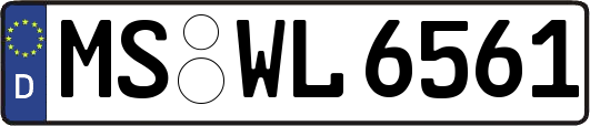 MS-WL6561